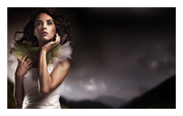 一键资源释放的免费ddos攻击网页端